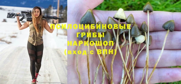 дживик Алексин