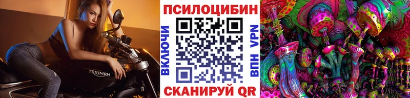 где найти наркотики  Рошаль  Псилоцибиновые грибы Magic Shrooms 